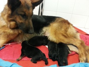 77121_10152008568089006_634834963_n